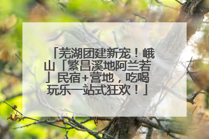 芜湖团建新宠！峨山「繁昌溪地阿兰若」民宿+营地，吃喝玩乐一站式狂欢！