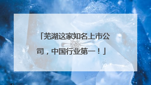 芜湖这家知名上市公司，中国行业第一！