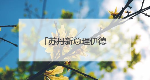 苏丹新总理伊德里斯宣誓就职