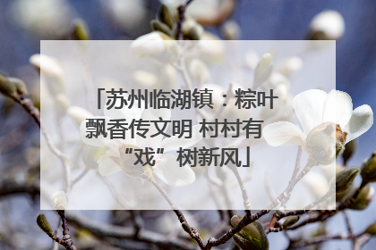 苏州临湖镇：粽叶飘香传文明 村村有“戏”树新风