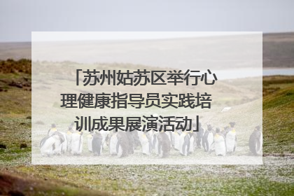 苏州姑苏区举行心理健康指导员实践培训成果展演活动