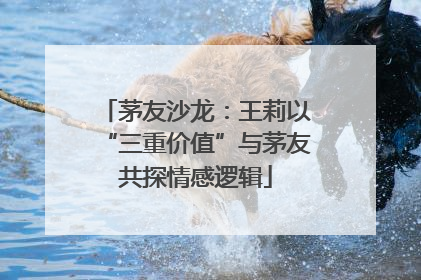 茅友沙龙：王莉以“三重价值”与茅友共探情感逻辑