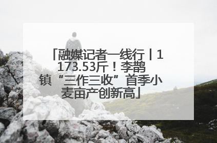 融媒记者一线行丨1173.53斤！李鹊镇“三作三收”首季小麦亩产创新高