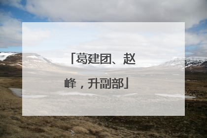 葛建团、赵峰，升副部