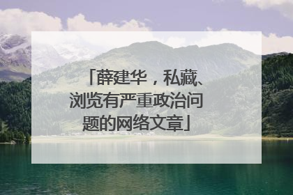薛建华，私藏、浏览有严重政治问题的网络文章