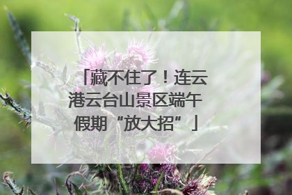 藏不住了！连云港云台山景区端午假期“放大招”