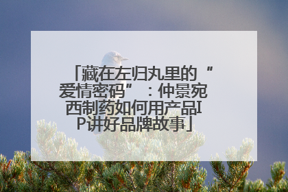 藏在左归丸里的“爱情密码”：仲景宛西制药如何用产品IP讲好品牌故事