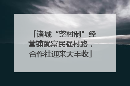 诸城“整村制”经营铺就富民强村路，合作社迎来大丰收