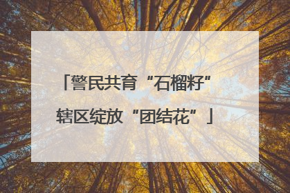 警民共育“石榴籽” 辖区绽放“团结花”