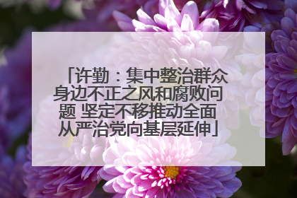 许勤：集中整治群众身边不正之风和腐败问题 坚定不移推动全面从严治党向基层延伸