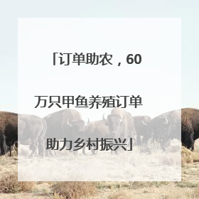 订单助农，60万只甲鱼养殖订单助力乡村振兴