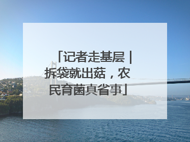 记者走基层｜拆袋就出菇，农民育菌真省事