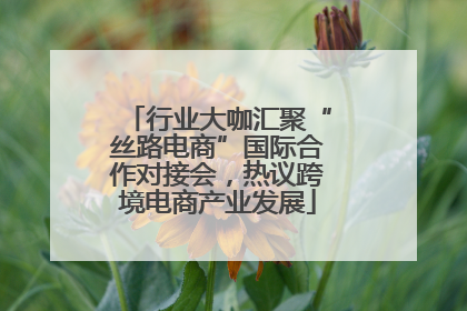 行业大咖汇聚“丝路电商”国际合作对接会，热议跨境电商产业发展
