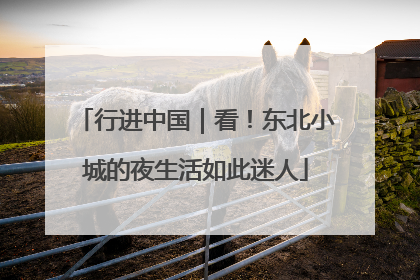 行进中国｜看！东北小城的夜生活如此迷人