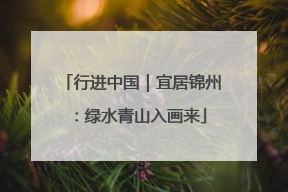 行进中国｜宜居锦州：绿水青山入画来