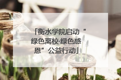衡水学院启动“绿色离校·绿色感恩”公益行动