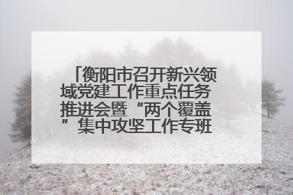 衡阳市召开新兴领域党建工作重点任务推进会暨“两个覆盖”集中攻坚工作专班 第一次会议