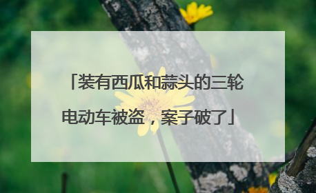 装有西瓜和蒜头的三轮电动车被盗，案子破了