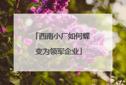 西南小厂如何蝶变为领军企业