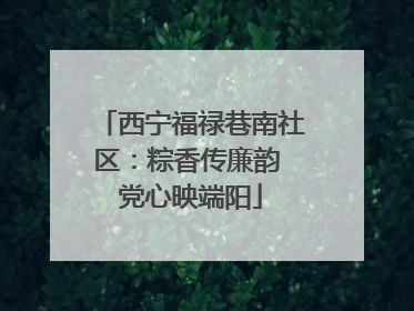西宁福禄巷南社区：粽香传廉韵 党心映端阳