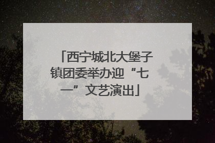 西宁城北大堡子镇团委举办迎“七一”文艺演出