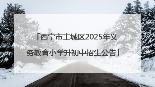 西宁市主城区2025年义务教育小学升初中招生公告