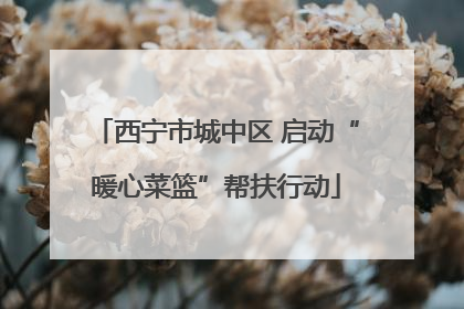 西宁市城中区 启动“暖心菜篮”帮扶行动