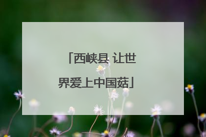 西峡县 让世界爱上中国菇