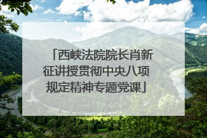 西峡法院院长肖新征讲授贯彻中央八项规定精神专题党课