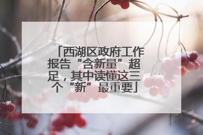西湖区政府工作报告“含新量”超足，其中读懂这三个“新”最重要