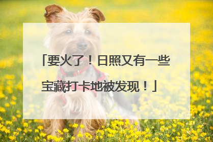 要火了！日照又有一些宝藏打卡地被发现！