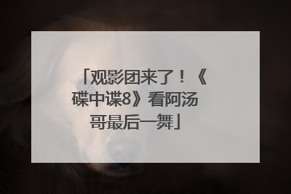 观影团来了！《碟中谍8》看阿汤哥最后一舞