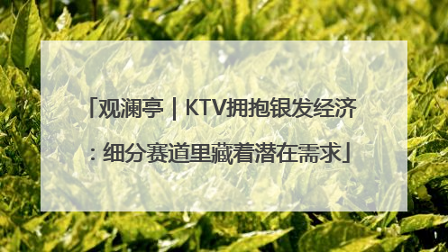 观澜亭｜KTV拥抱银发经济：细分赛道里藏着潜在需求