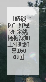 解锁“梅”好经济 余姚杨梅深加工年耗鲜果1600吨