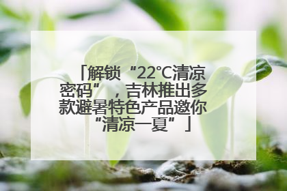 解锁“22℃清凉密码”，吉林推出多款避暑特色产品邀你“清凉一夏”