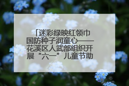 迷彩绿映红领巾 国防种子润童心——花溪区人武部组织开展“六一”儿童节助学兴教活动
