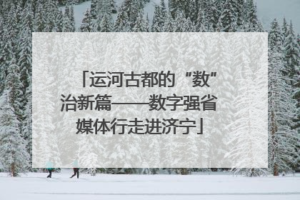 运河古都的“数”治新篇——数字强省媒体行走进济宁