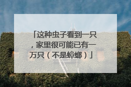 这种虫子看到一只，家里很可能已有一万只（不是蟑螂）