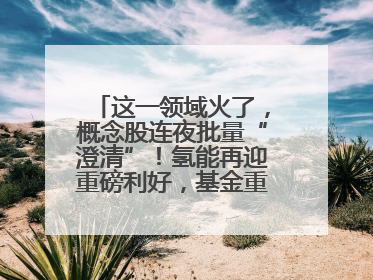 这一领域火了，概念股连夜批量“澄清”！氢能再迎重磅利好，基金重仓股出炉