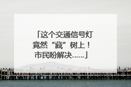 这个交通信号灯竟然“藏”树上！市民盼解决……