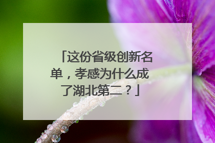 这份省级创新名单，孝感为什么成了湖北第二？