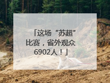 这场“苏超”比赛，省外观众6902人！