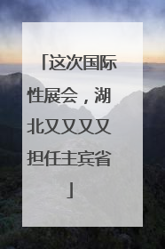 这次国际性展会，湖北又又又又担任主宾省