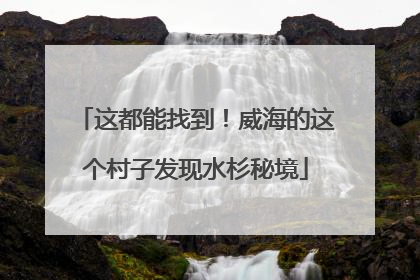 这都能找到！威海的这个村子发现水杉秘境