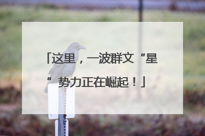 这里，一波群文“星”势力正在崛起！