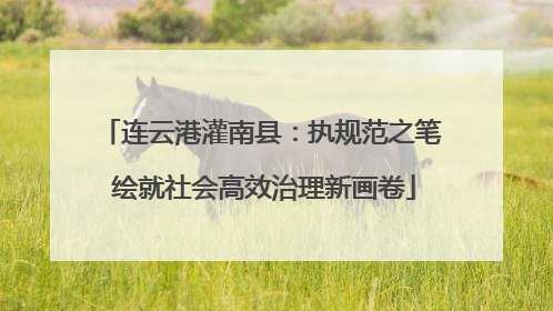 连云港灌南县：执规范之笔 绘就社会高效治理新画卷