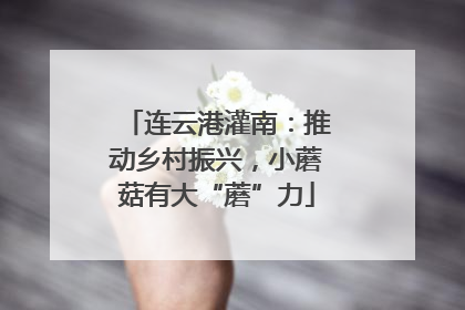 连云港灌南：推动乡村振兴，小蘑菇有大“蘑”力