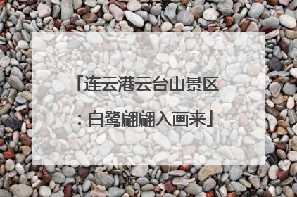 连云港云台山景区：白鹭翩翩入画来