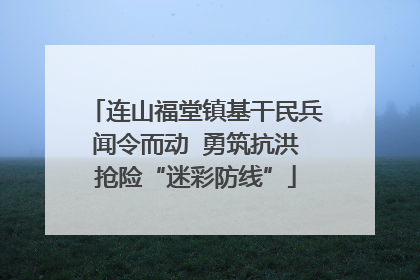 连山福堂镇基干民兵闻令而动  勇筑抗洪抢险“迷彩防线”