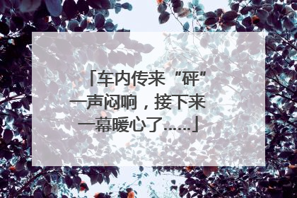 车内传来“砰”一声闷响，接下来一幕暖心了……